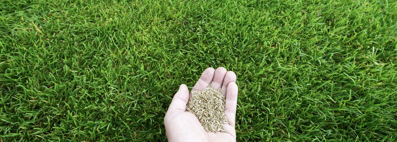 aeration_seeding_landscaping_rolling_meadows